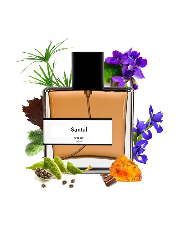 Santal_Compare_With_Le_Lab0_Santal_33