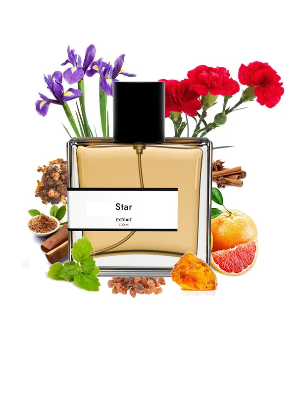 Star_Compare_With_Xerj0ff_Star_Musk