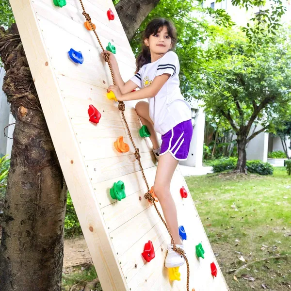Reznor_Rock_Climbing_Holds_For_Kids_12_Multi_Size_Climbing_Wall_Holds_With_Hardware_Kit_Indoor_Outdoor_Climbing_Stones_Diy_Rock_Wall_Jungle_Gym_Backyard_Play_Set