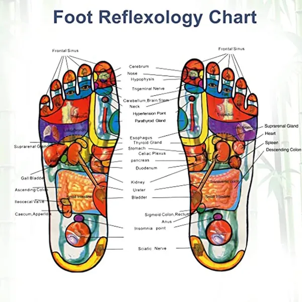Cleansing_Detox_Foot_Pads_Ginger_Salt_Foot_Patch_10pcs_Default_Title