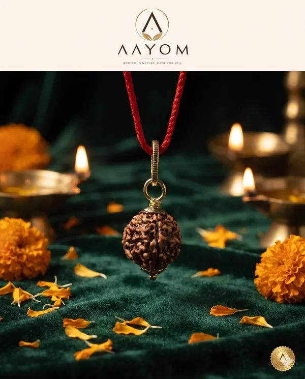 5_Mukhi_Natural_Rudraksha_Bead