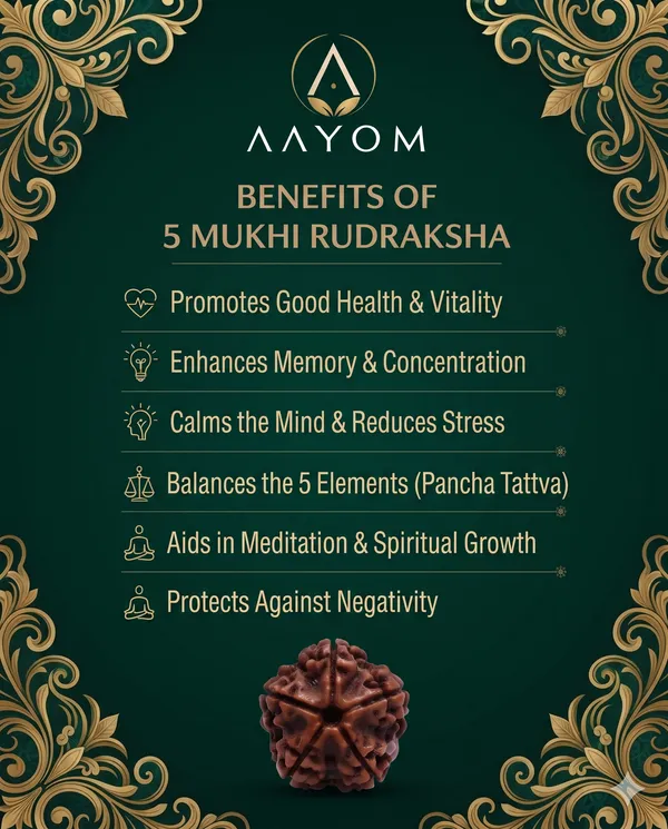 5_Mukhi_Natural_Rudraksha_Bead