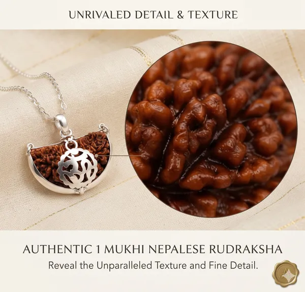 1_Mukhi_Kaju_Dana_Natural_Rudraksha_Bead