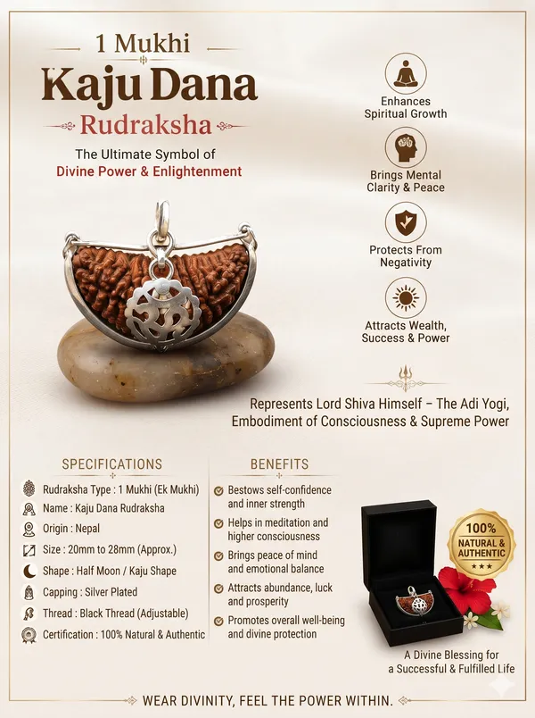 1_Mukhi_Kaju_Dana_Natural_Rudraksha_Bead