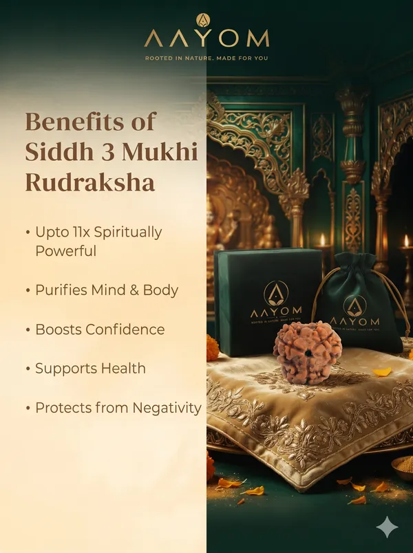 3_Mukhi_Natural_Rudraksha_Bead