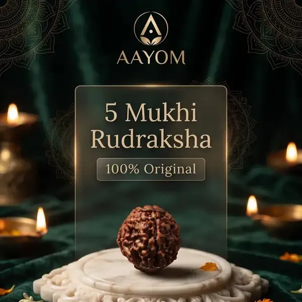 5_Mukhi_Natural_Rudraksha_Bead