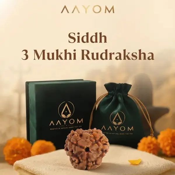 3_Mukhi_Natural_Rudraksha_Bead