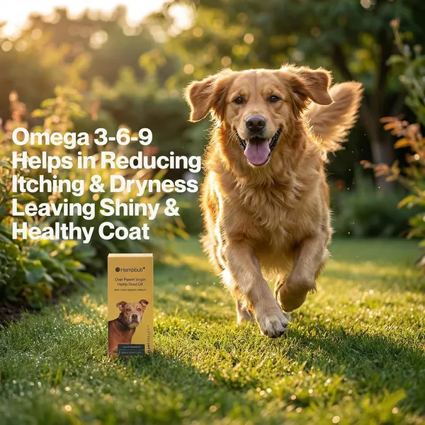 Hemp_Seed_Oil_For_Dogs_And_Cats