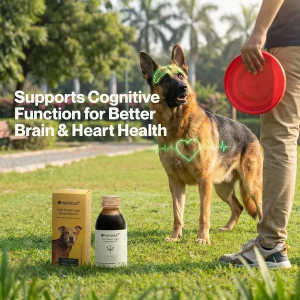 Hemp_Seed_Oil_For_Dogs_And_Cats