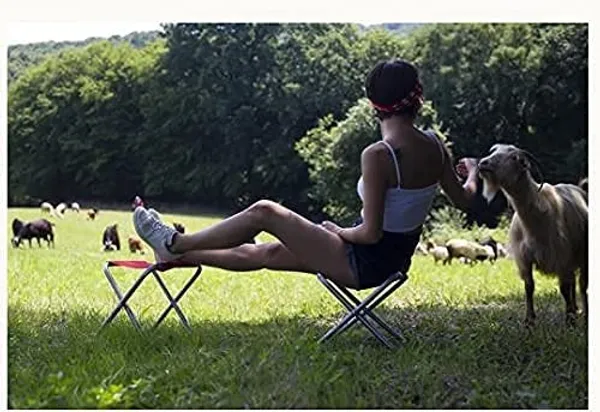 Blue_Folding_Picnic__Stool