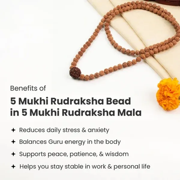 5_Mukhi_Rudraksha_Bead_Mala_With_108_Plus_1_Beads