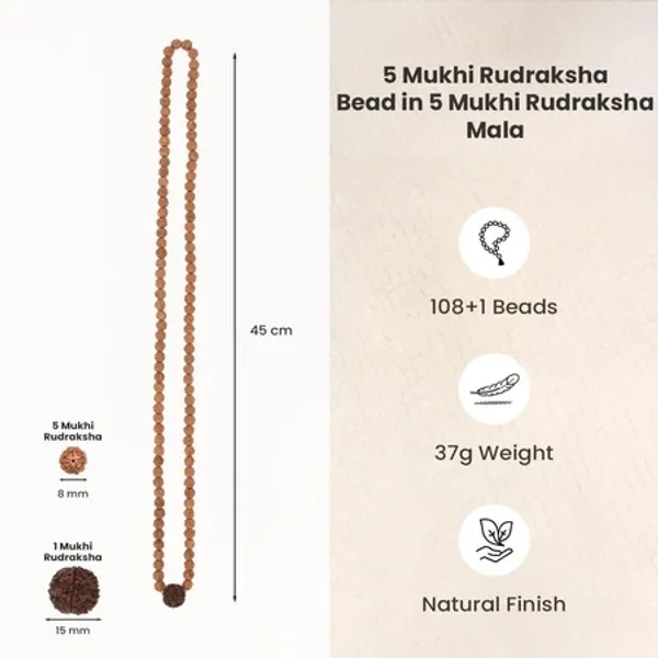 5_Mukhi_Rudraksha_Bead_Mala_With_108_Plus_1_Beads