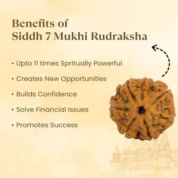 7_Mukhi_Rudraksha_Spiritual_Bead