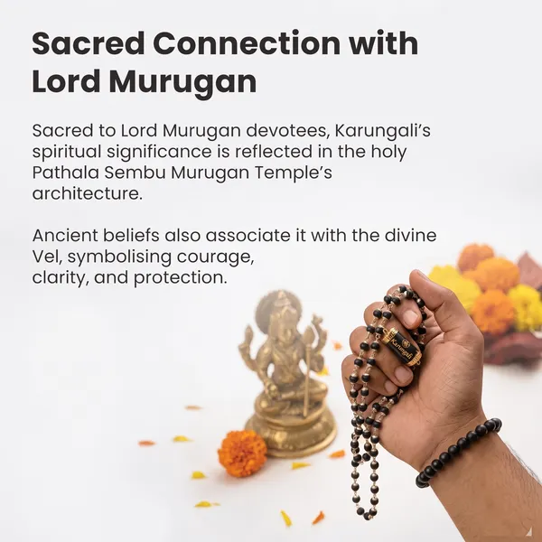 Black_Karungali_Bead_Mala_And_Bracelet_for_Devotees