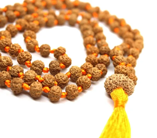 14_Mukhi_Rudraksha_Mala