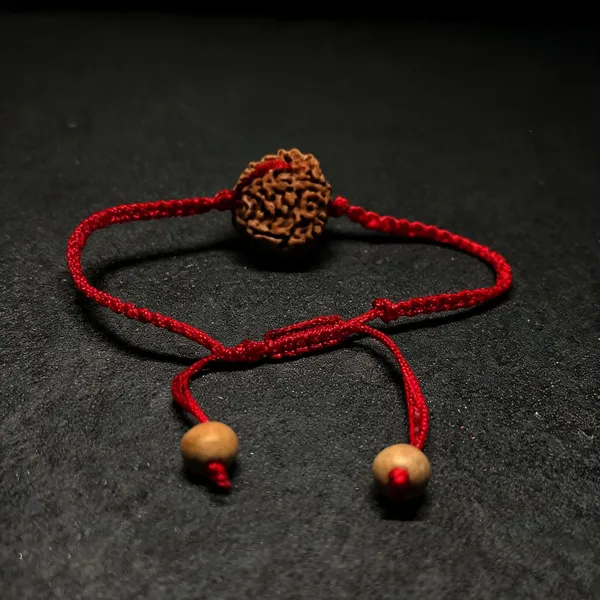 7_Mukhi_Nepali_Rudraksha_Adjustable_Bracelet_for_Men_&_Women_Lab_Certified