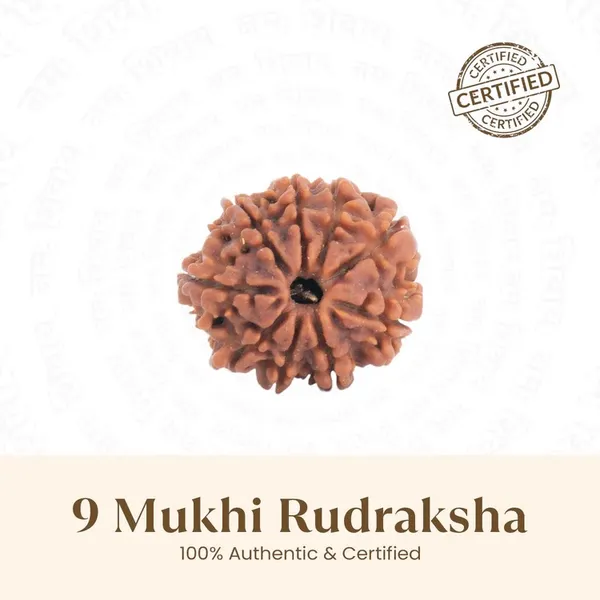 Siddh_9_Mukhi_Rudraksha_Bead