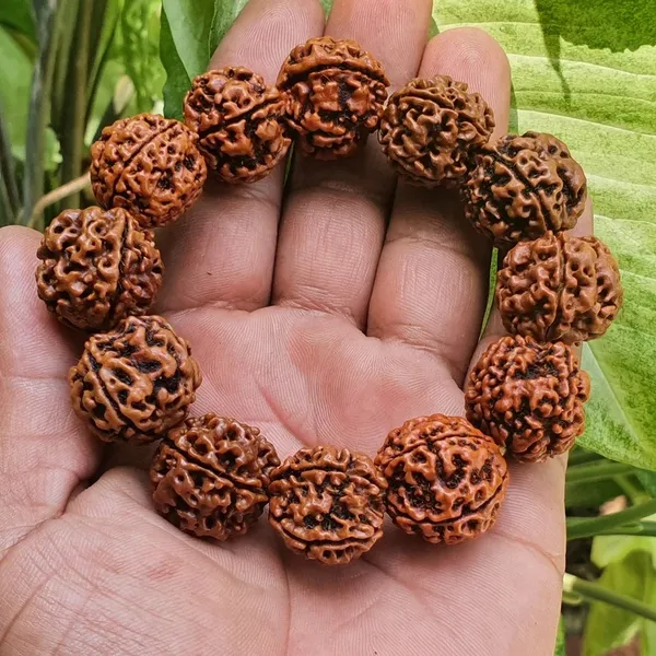 Brown_4_Mukhi_Rudraksha_Bead_Bracelet_for_Unisex