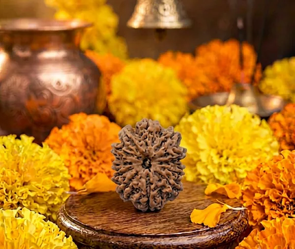 Brown_Rudraksha_12_Mukhi_Spiritual_Bead