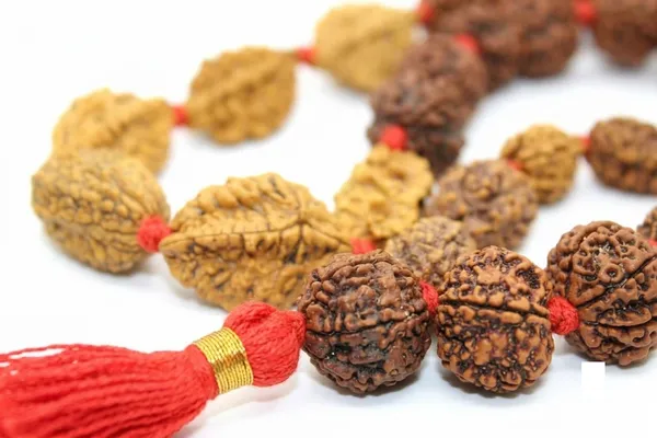 Brown_Rudraksha_Bead_Mala_for_Men_And_Women