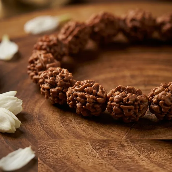Brown_Natural_Rudraksha_2_Mukhi_Bracelet_for_Men