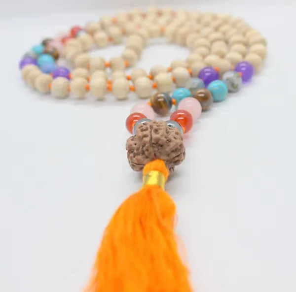Multicolor_Beaded_Rudraksha_Mala_for_Devotees
