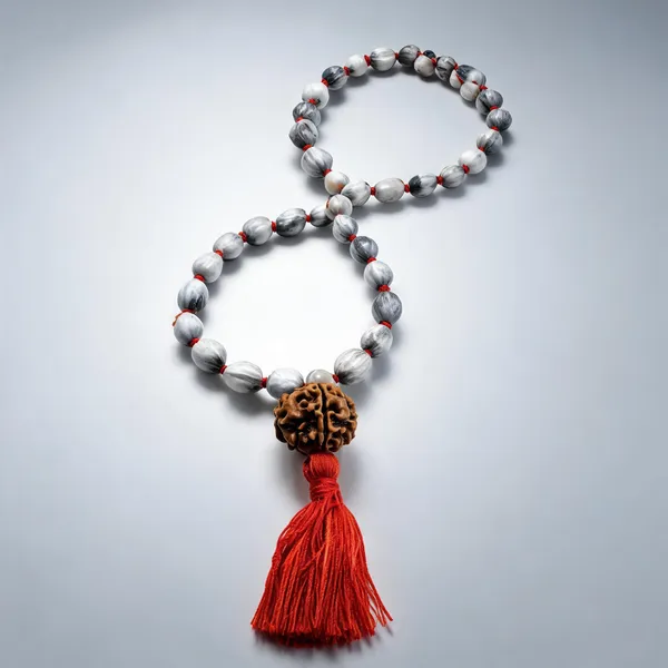 Vaijanti_Mala_combined_with_5_Mukhi_Rudraksha_Beads_Lab_Certified