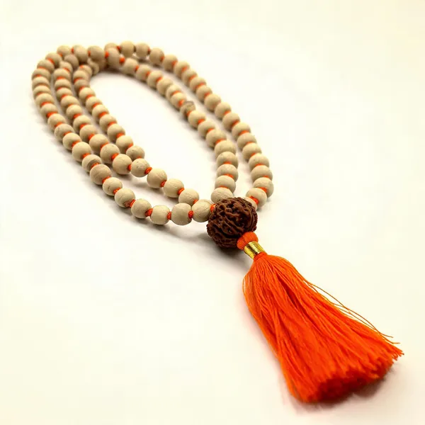 Tulsi_Mala_with_5_Mukhi_Nepali_Rudraksha_Guru_Bead_for_Men_&_Women_Lab_Certified