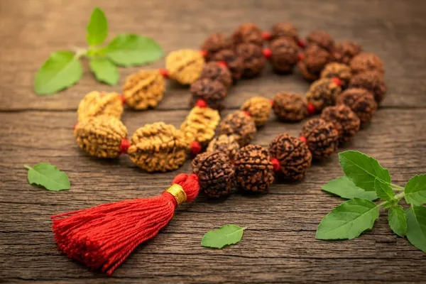 Brown_Rudraksha_Bead_Mala_for_Men_And_Women