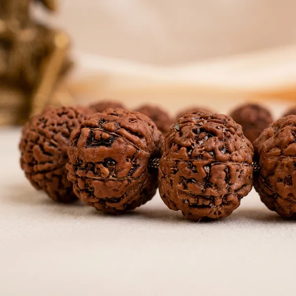 Brown_Rudraksha_Beaded_Bracelet_for_Unisex