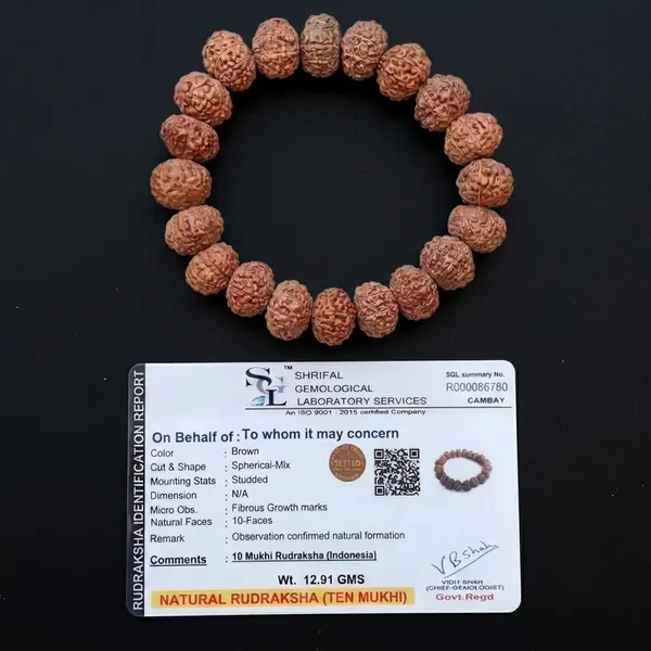 Brown_10_Mukhi_Rudraksha_Bead_Bracelet_for_Devotees