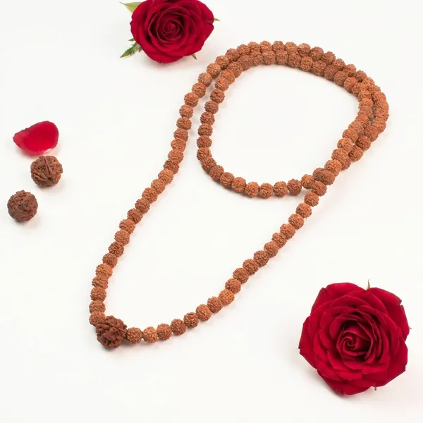 5_Mukhi_Rudraksha_Bead_Mala_With_108_Plus_1_Beads