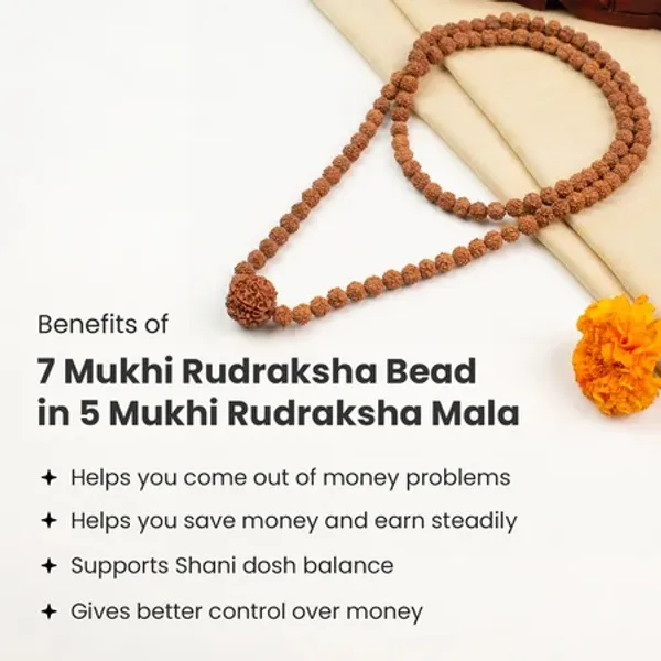 Natural_Rudraksha_7_Mukhi_And_5_Mukhi_Mala