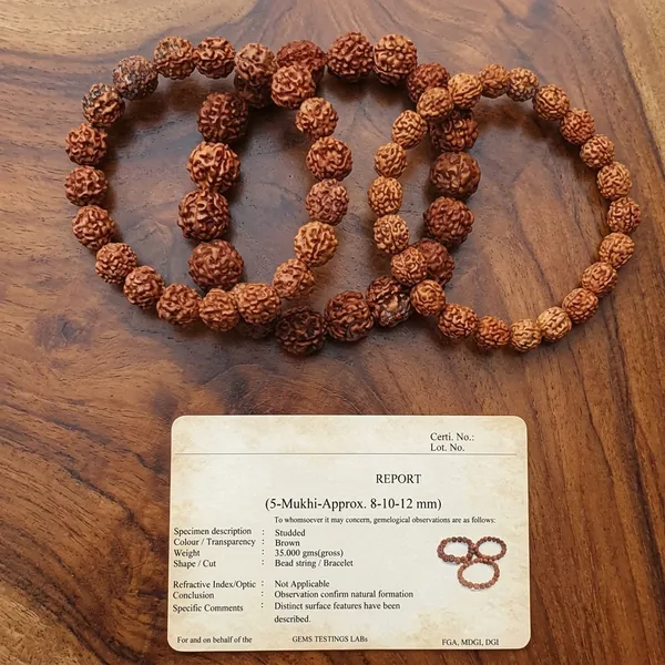 Brown_Rudraksha_Bead_Bracelet_Set