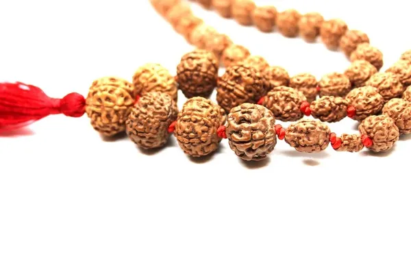 Brown_Rudraksha_Bead_Mala_for_Devotional_Use