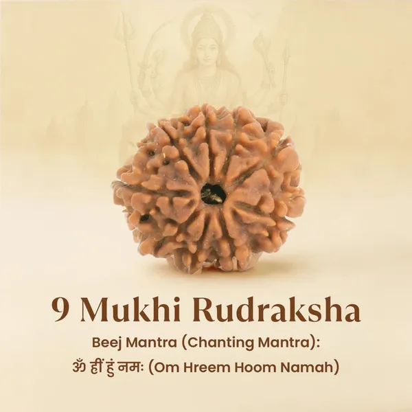 Siddh_9_Mukhi_Rudraksha_Bead
