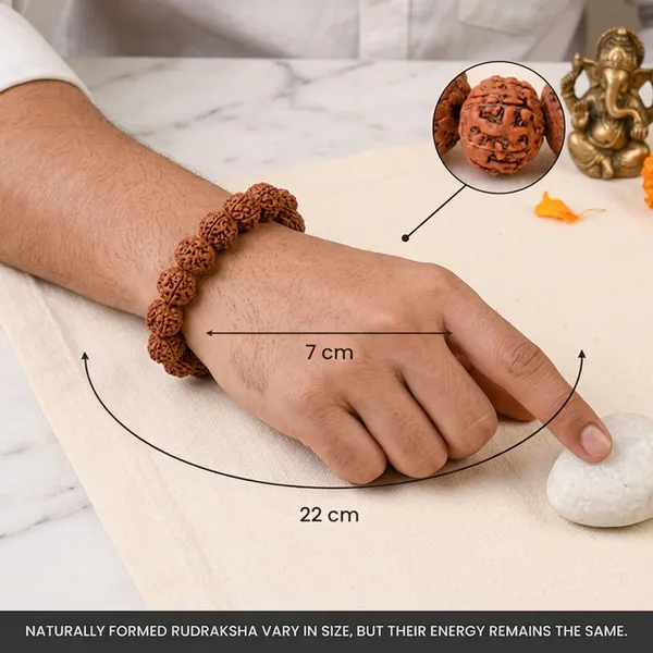 Brown_Rudraksha_Beaded_Bracelet_for_Unisex