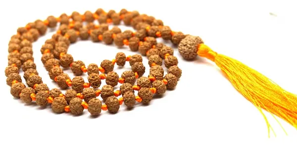 14_Mukhi_Rudraksha_Mala