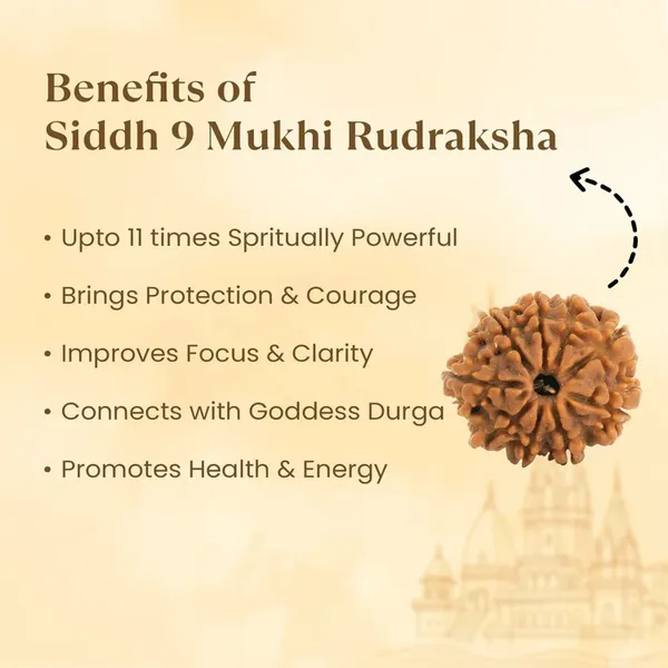 Siddh_9_Mukhi_Rudraksha_Bead