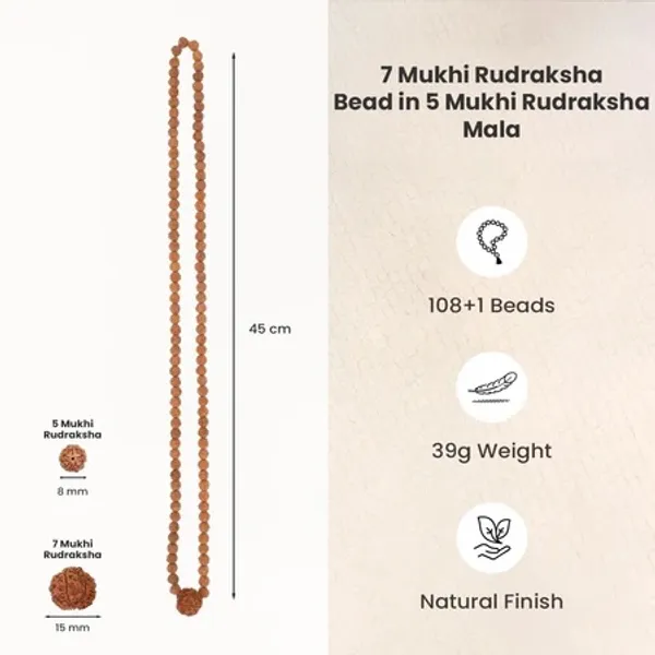 Natural_Rudraksha_7_Mukhi_And_5_Mukhi_Mala