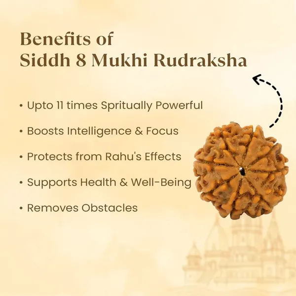 8_Mukhi_Rudraksha_Spiritual_Bead