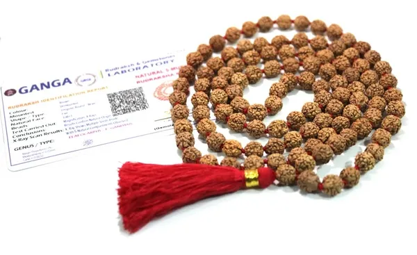 Brown_Rudraksha_Bead_Mala_for_Devotees