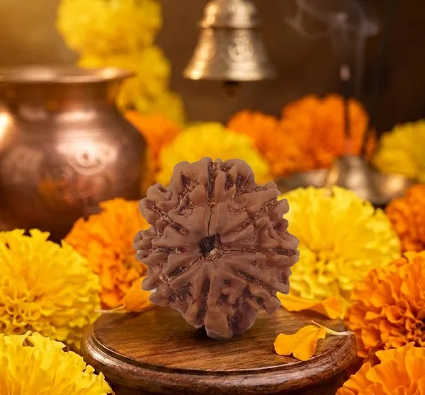 8_Mukhi_Rudraksha_Spiritual_Bead