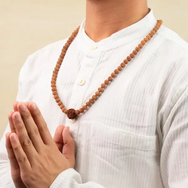 6_Mukhi_Rudraksha_Bead_In_5_Mukhi_Rudraksha_Mala