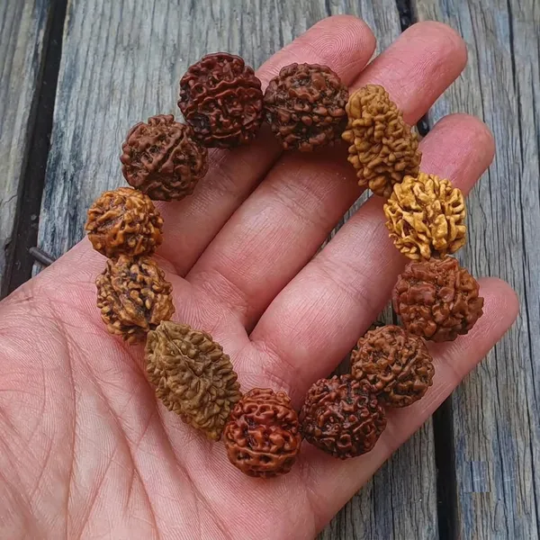 Multicolor_Rudraksha_Bead_Bracelet_for_Unisex