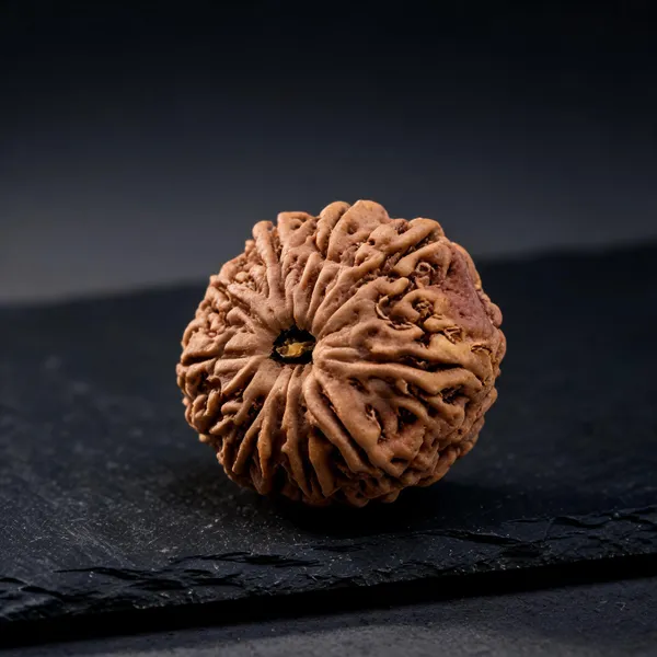 11_Mukhi_Rudraksha_Spiritual_Bead_Nepali_Lab_Certified