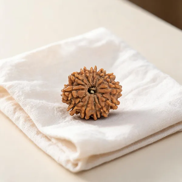 12_Mukhi_Nepali_Rudraksha_Bead_for_Men_&_Women_Nepal_Lab_Certified