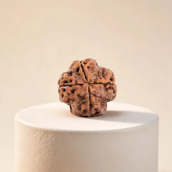 4_Mukhi_Rudraksha_Beads_for_Men_&_Women_Nepali_Lab_Certified