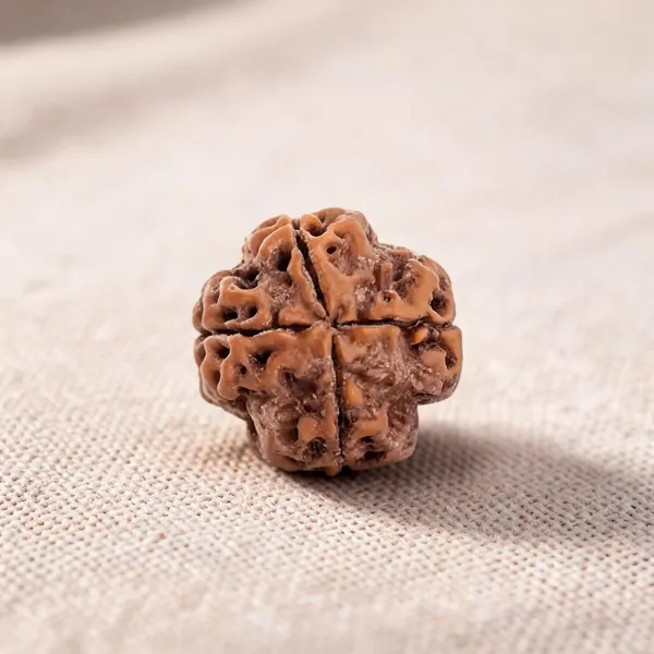 4_Mukhi_Rudraksha_Beads_for_Men_&_Women_Nepali_Lab_Certified