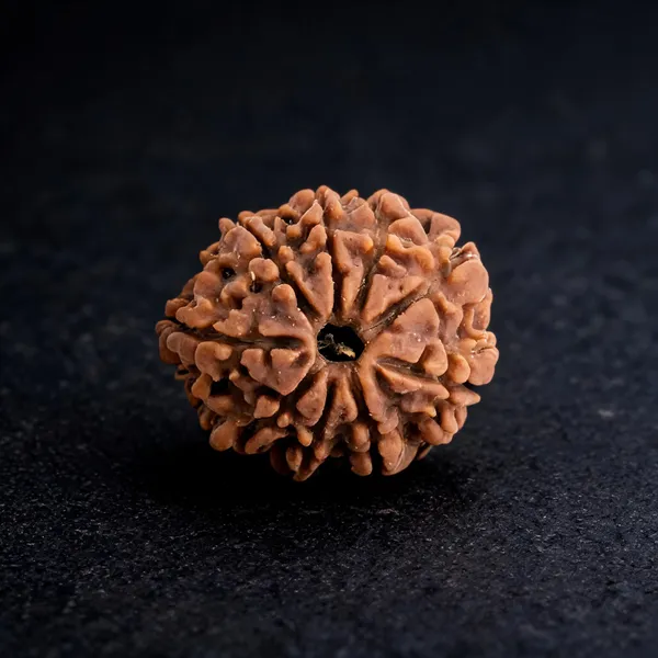 Siddha_9_Mukhi_Nepali_Rudraksha_Bead_for_Men_&_Women_Lab_Certified